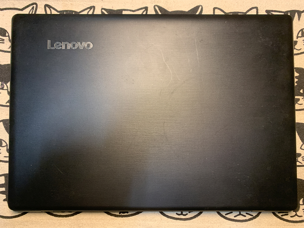 Lenovo ideapad 110 80TJ00FAJP分解・SSD換装 - パソコンサポートTANAKA